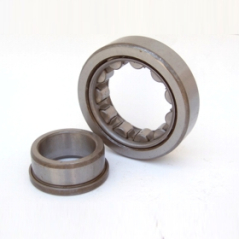 Rodam. Punta De Piñon Scania 111 112 142 143