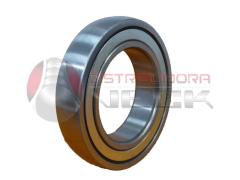 Rodam.semieje Ford Focus Ecosport Mondeo